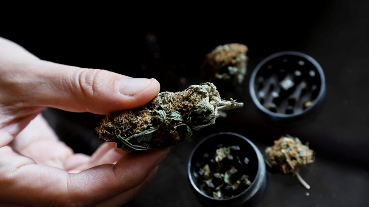 El PSOE bloqueará la legalización del cannabis que une al resto de partidos de izquierda