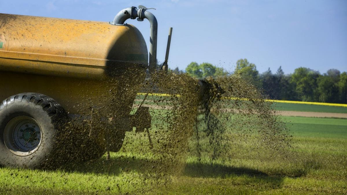 Casi el 40% de las aguas subterráneas siguen contaminadas por los nitratos de origen agrario