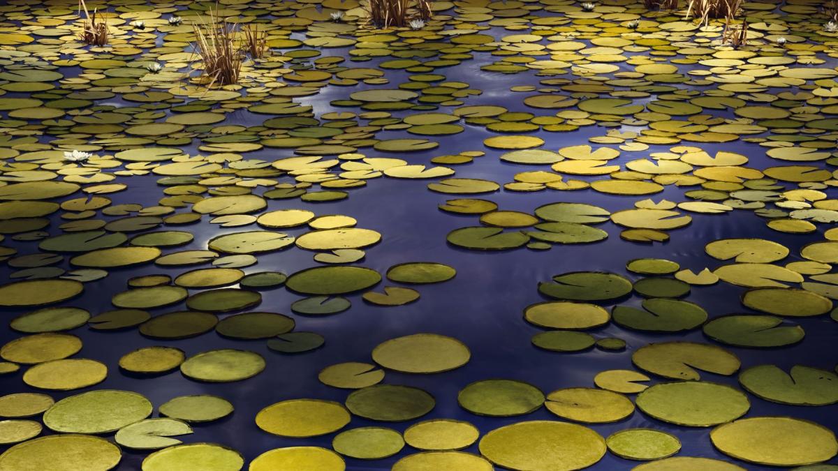 El arte como vacuna: once muestras de pintura y fotografía para el cambio de año