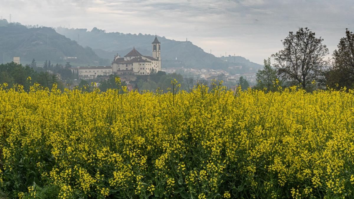 El santuario de la naturaleza en Osona