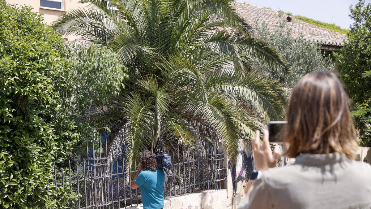 La fiscalía ordena régimen cerrado para cuatro de los cinco violadores de dos niñas en Burjassot