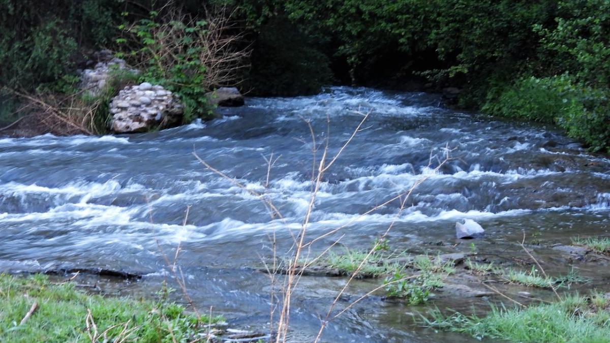 La esperanzadora crecida del río Ter
