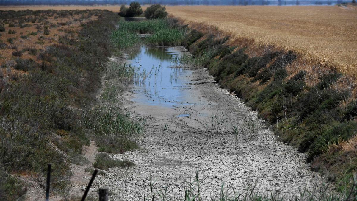 La Confederación del Guadalquivir rechaza el megaresort con campo de golf cerca de Doñana