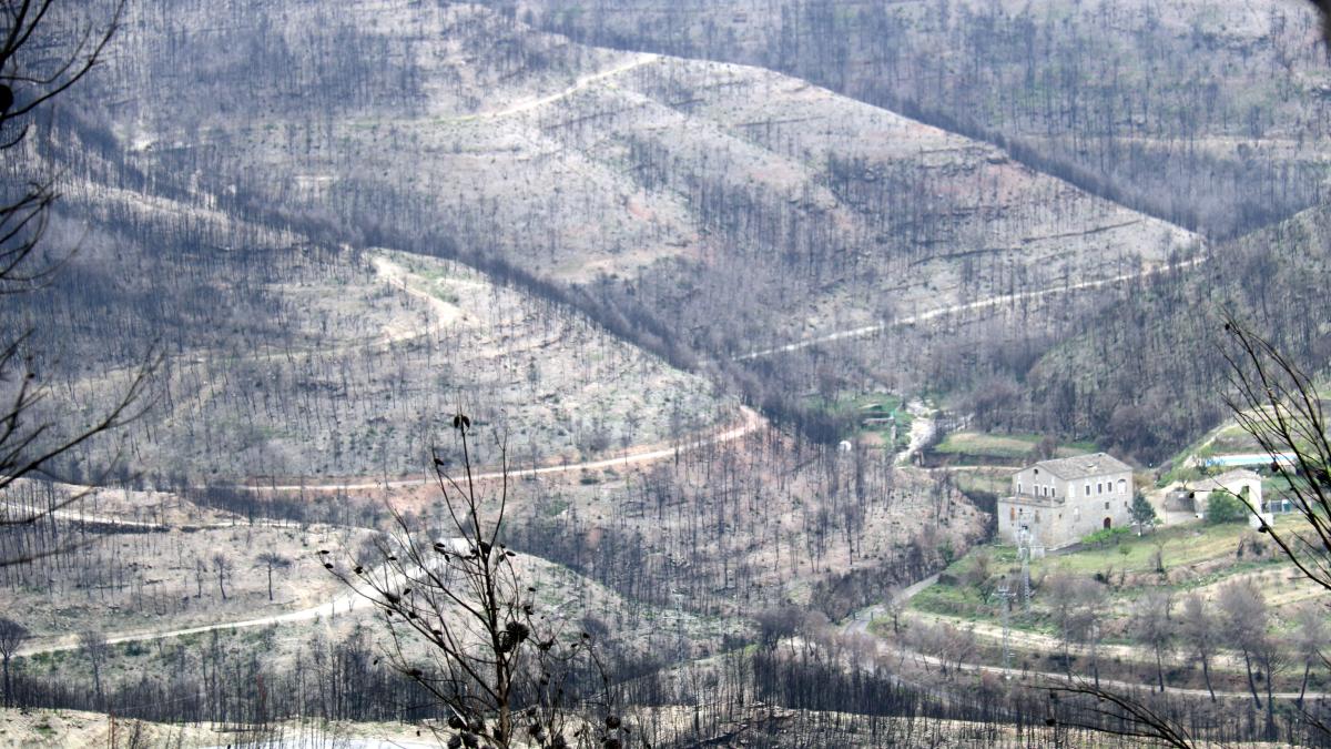 Gestionar las urbanizaciones rodeadas de bosque preocupa a los pequeños ayuntamientos