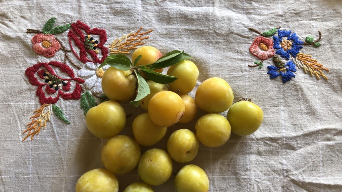 Las buenas costumbres