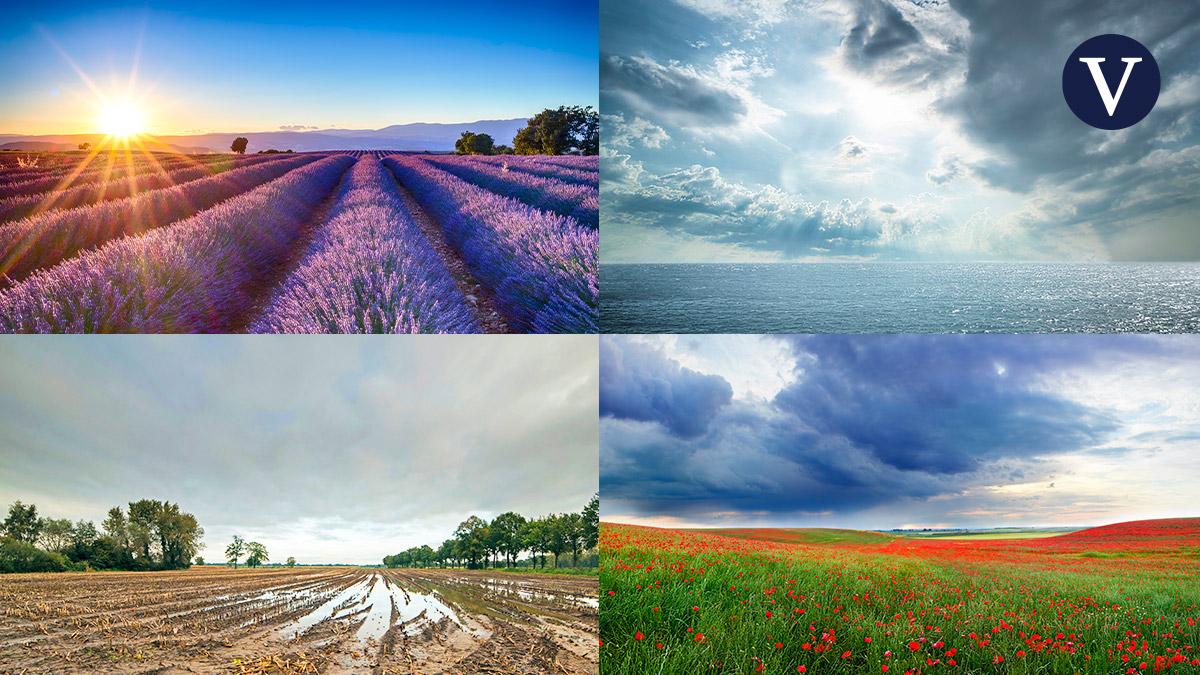 La AEMET avisa del tiempo en las Rozas de Madrid: previsión meteorológica para hoy, domingo 14 de enero