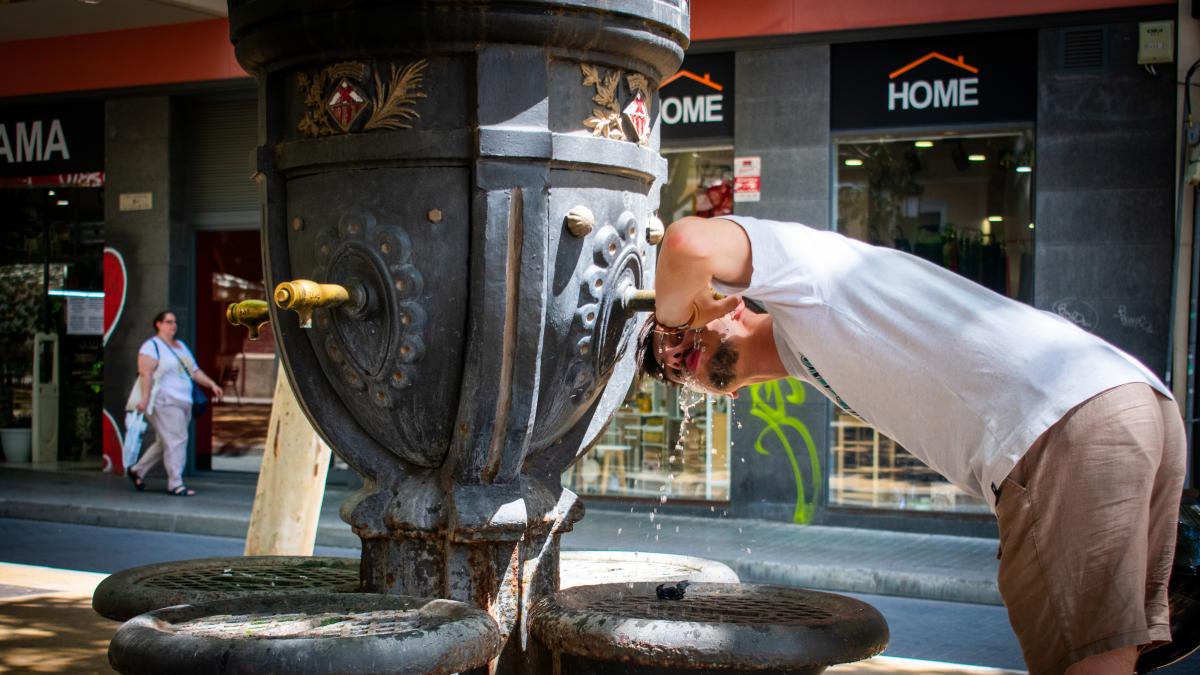 Elogio de un vaso de agua