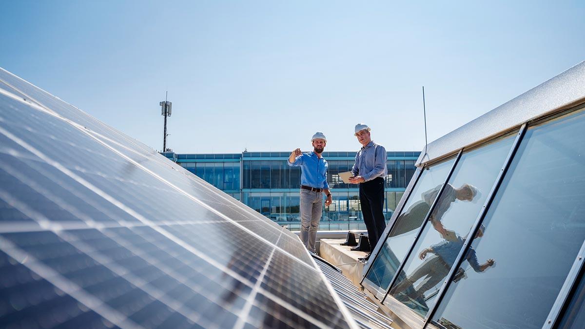 La sostenibilidad es rentable para el tejido empresarial español