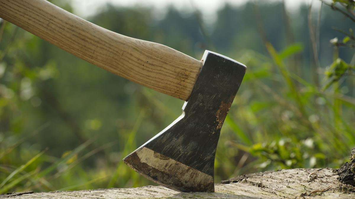 ¡Atención, guionistas!