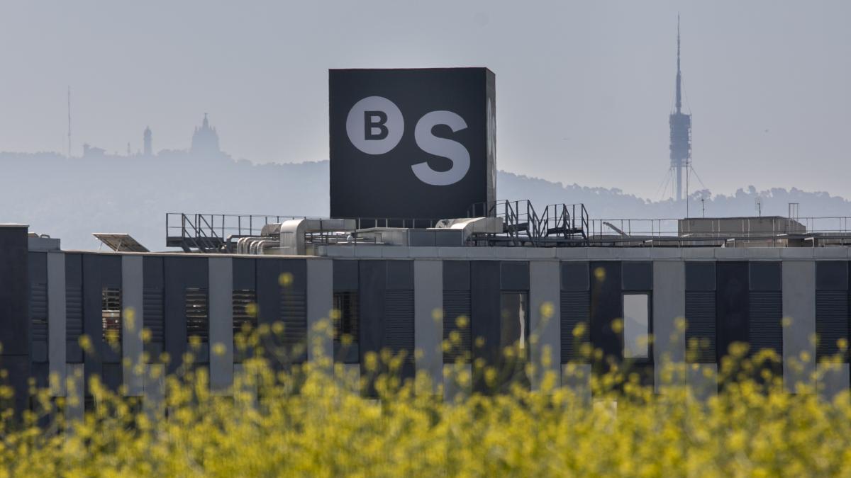 El dilema entre valor y precio