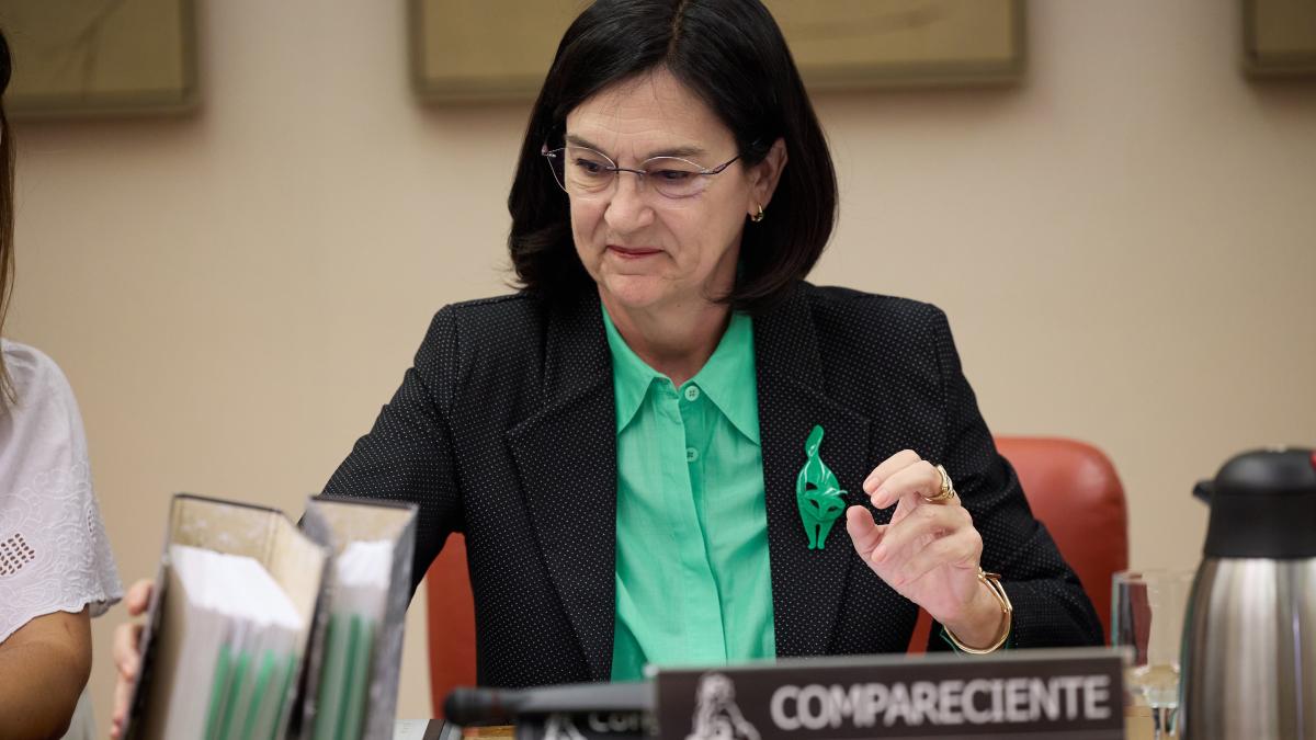 Competencia decide la semana próxima sobre la opa del BBVA al Banc Sabadell