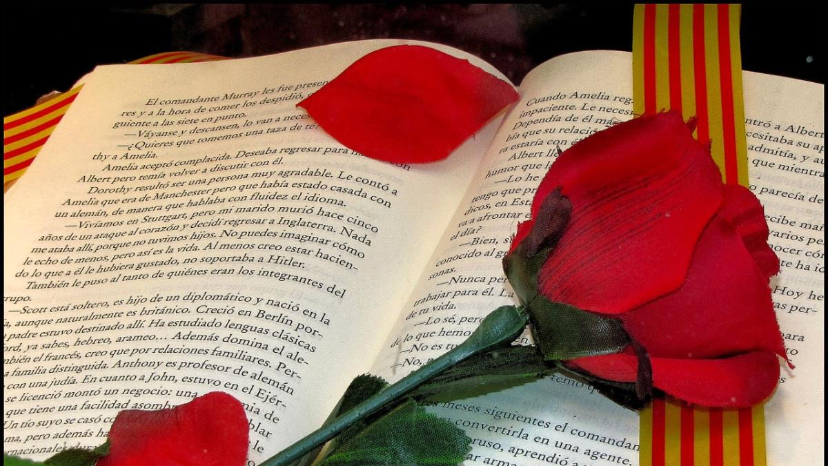 23 plumas para 23 letras