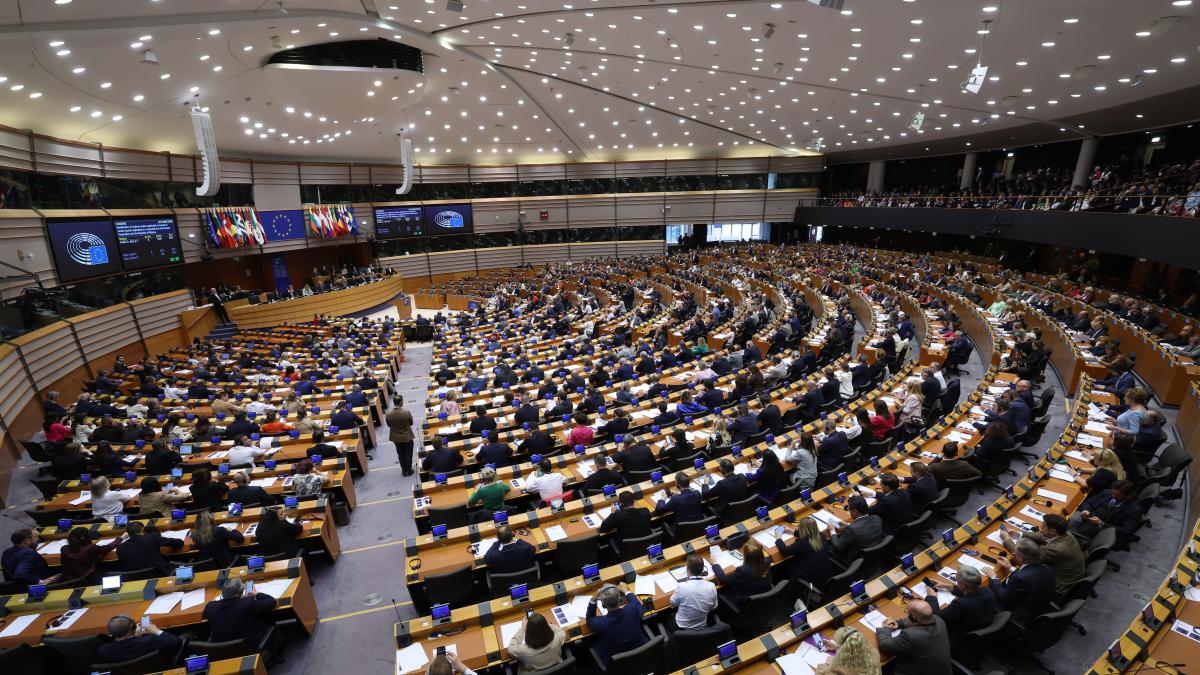 La opa y los lobbies