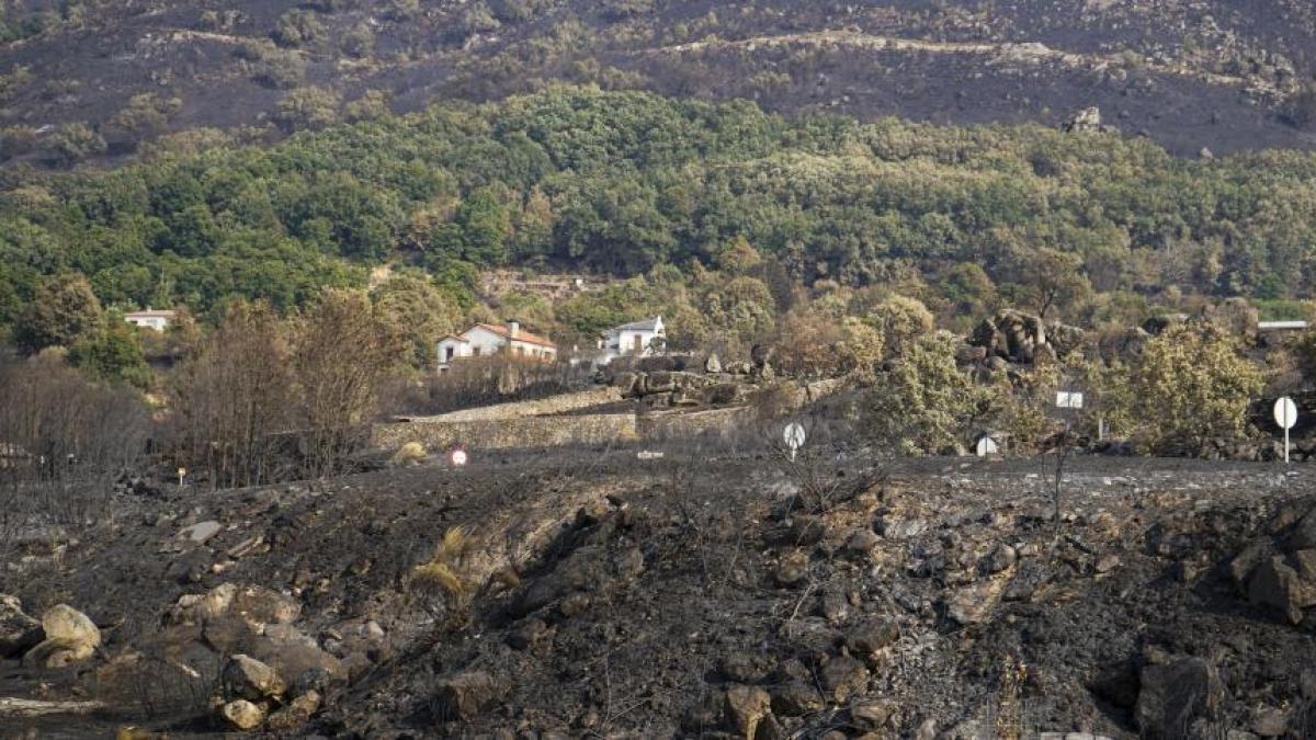 Esperanza contra el “monstruo” de Jarilla: el incendio podría darse hoy por “consolidado”