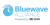 logo bluewave alliance