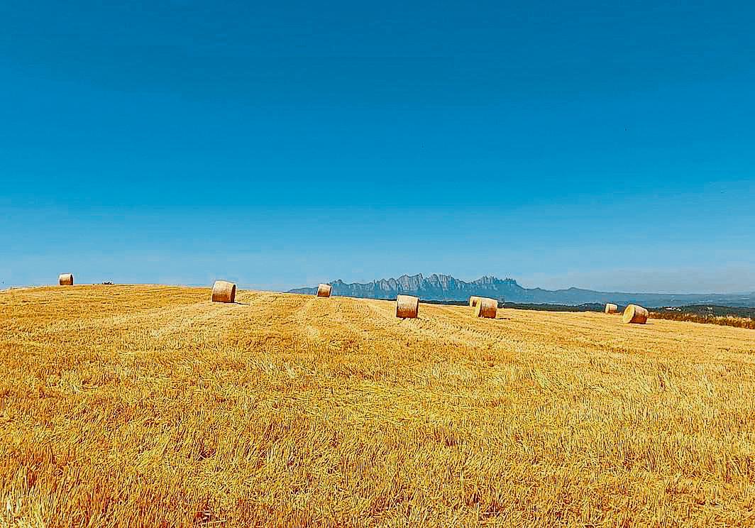 El monte de oro con vistas a Montserrat