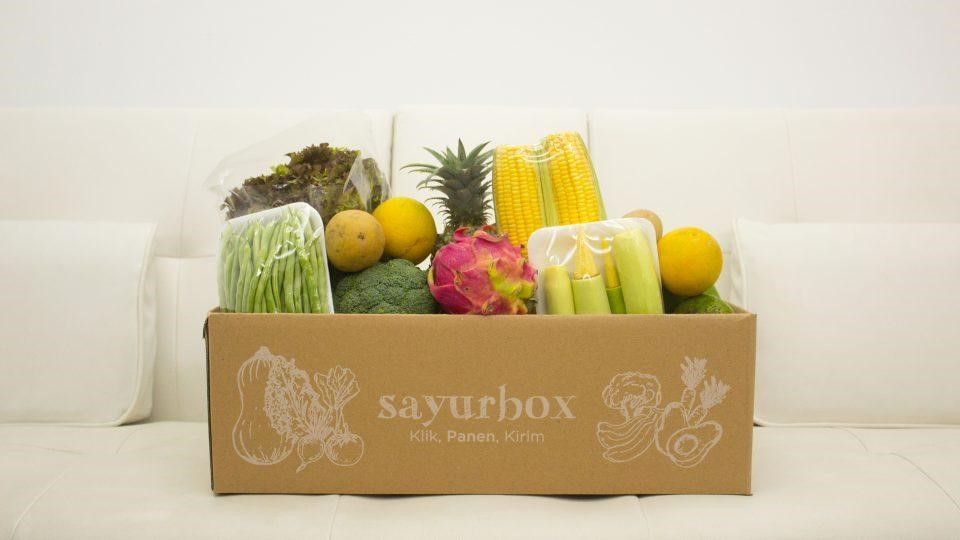 8 Strategi Bisnis Sayurbox: Rahasia Sukses Kuasai Pasar Sayur Online