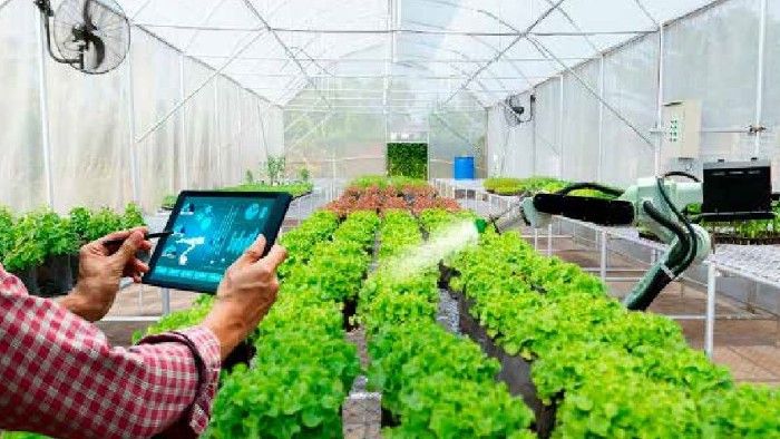 Inovasi Pertanian Masa Depan: Panduan Lengkap Greenhouse & Controlled Environment Agriculture (CEA)