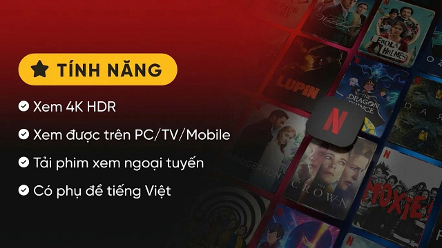 Netflix Premium - Tài khoản tạo sẵn - hình ảnh sản phẩm tại EmpireX - Hình 2