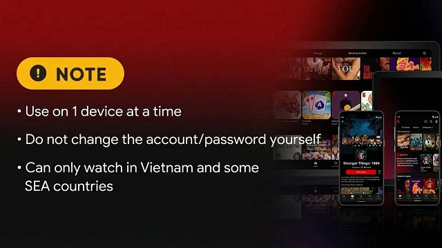 Netflix Premium  - Ready Account product image at EmpireX - Image 3