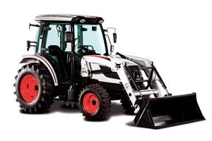 Bobcat