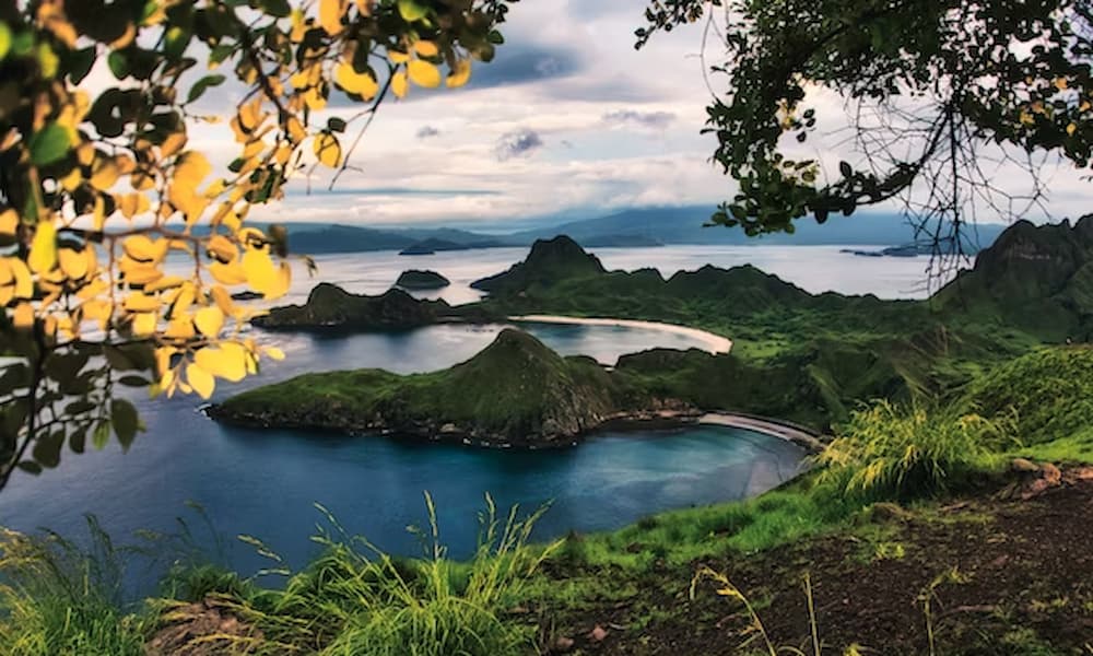 Unveiling the Splendors of Komodo Island: A Unique Adventure 