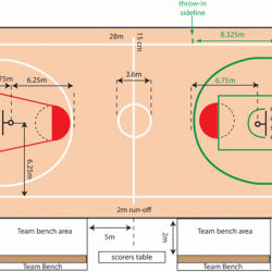 kontraktor lapangan basket
