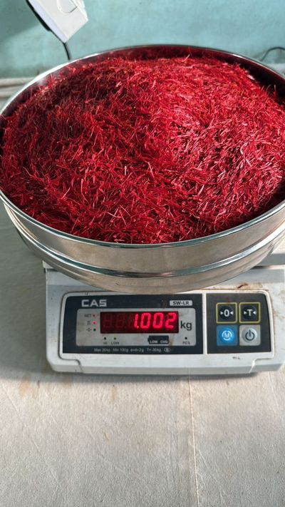 Mogra from Pampore and the Kashmir saffron belt — photo 3