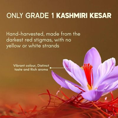 Mogra from Pampore and the Kashmir saffron belt — photo 4