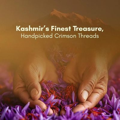 Mogra from Pampore and the Kashmir saffron belt — photo 5