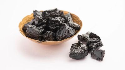 Shilajit from Ladakh — photo 2