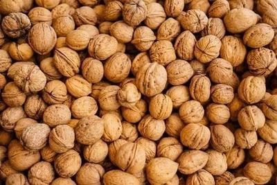 Walnuts from Jammu & Kashmir — photo 1