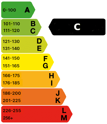 111-120 g/km CO2 emissions