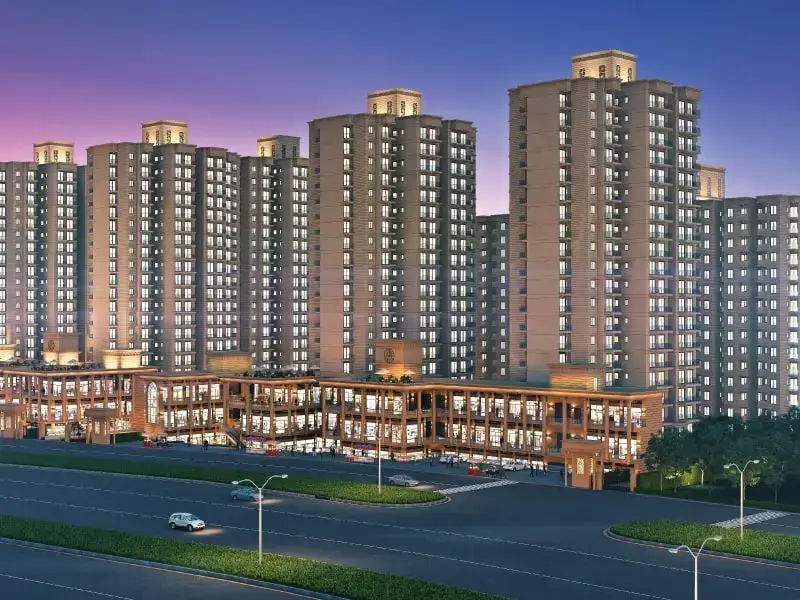 signature global