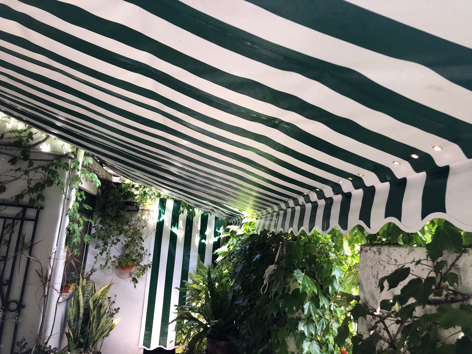 Toldo Extensible - Vista 8