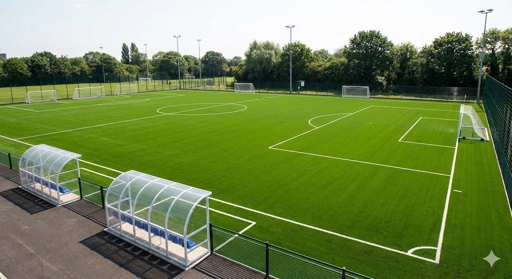 Regulation Field A view 1