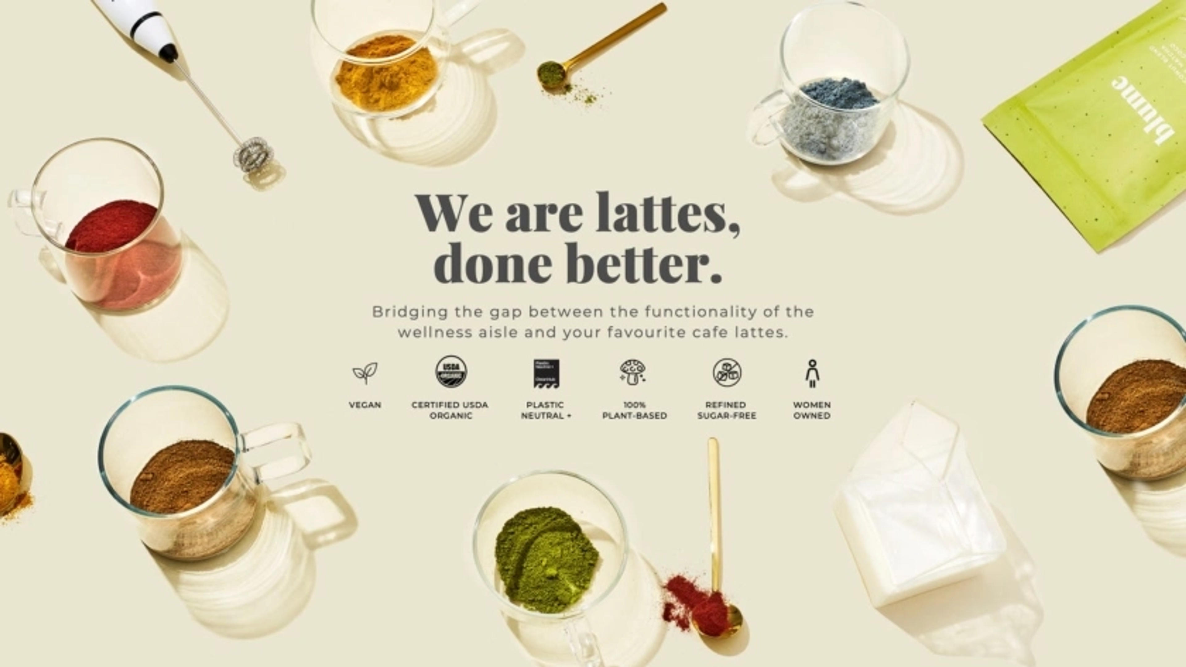 Blume Deck - Page #4 - Solution Slide