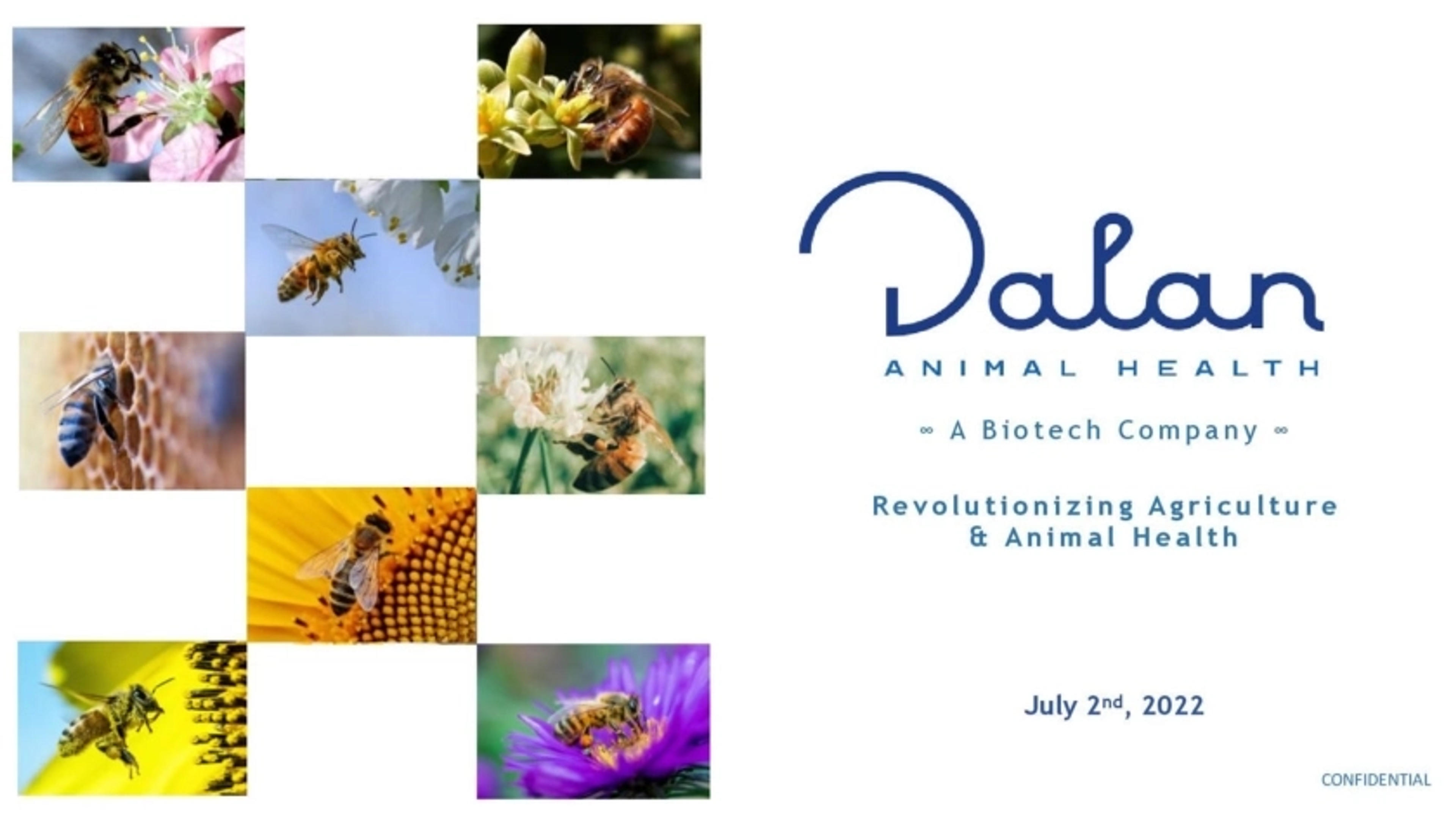 Dalan Animal Health Deck - Page #1 - Title Slide
