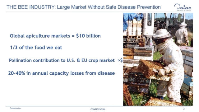 Dalan Animal Health Deck - Page #2 - Problem Slide