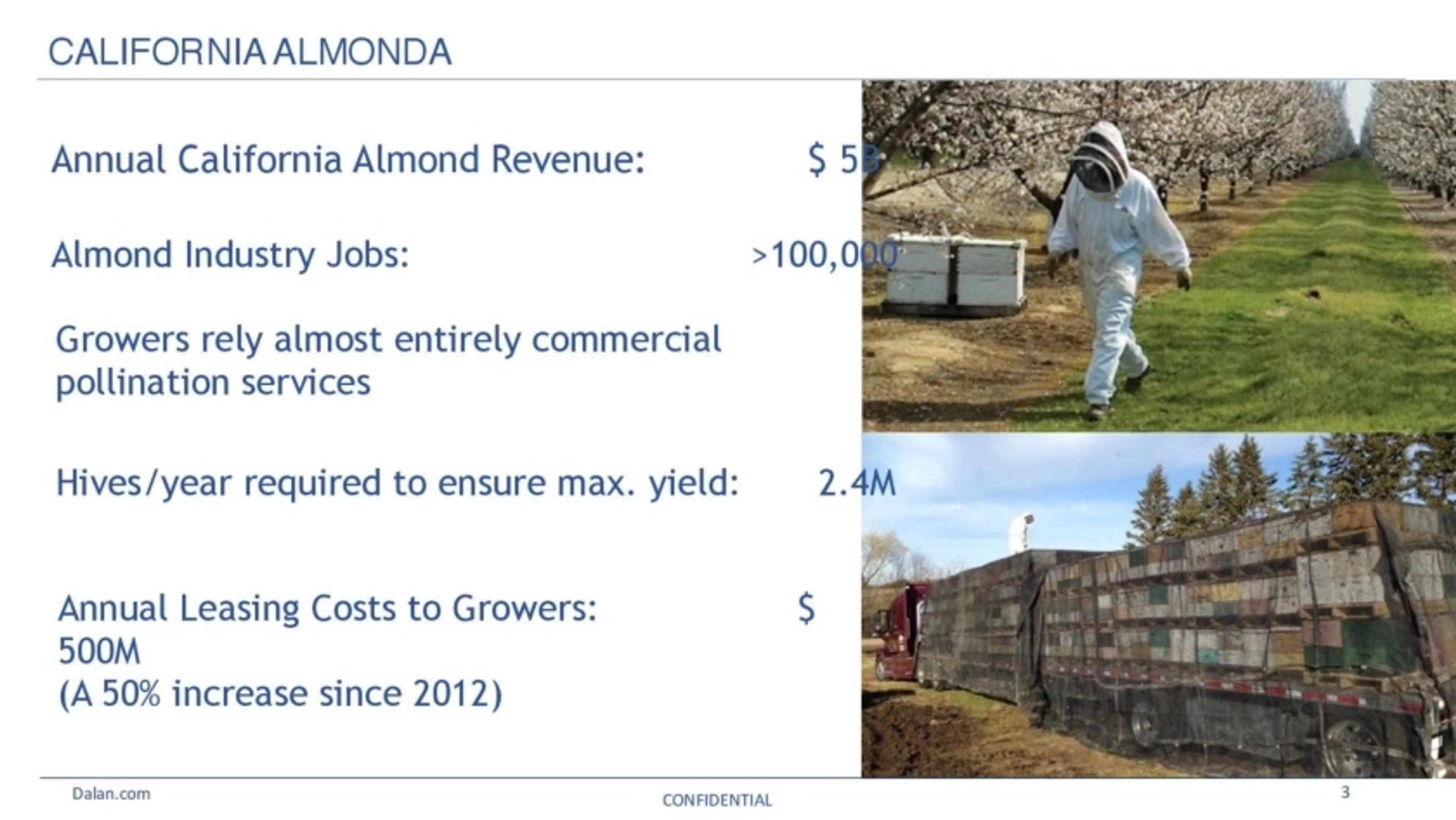 Dalan Animal Health Deck - Page #3 - Problem Slide