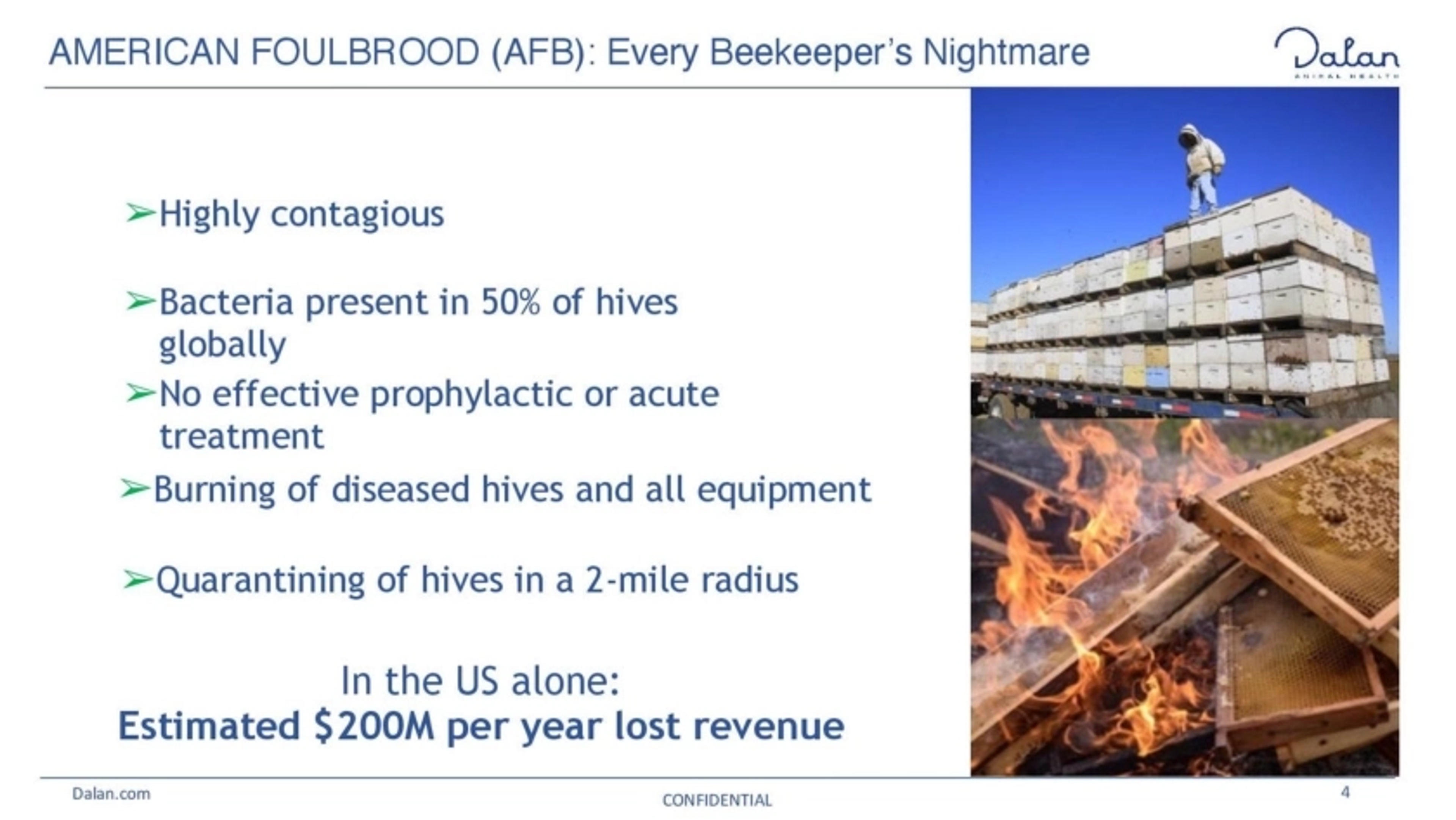 Dalan Animal Health Deck - Page #4 - Problem Slide