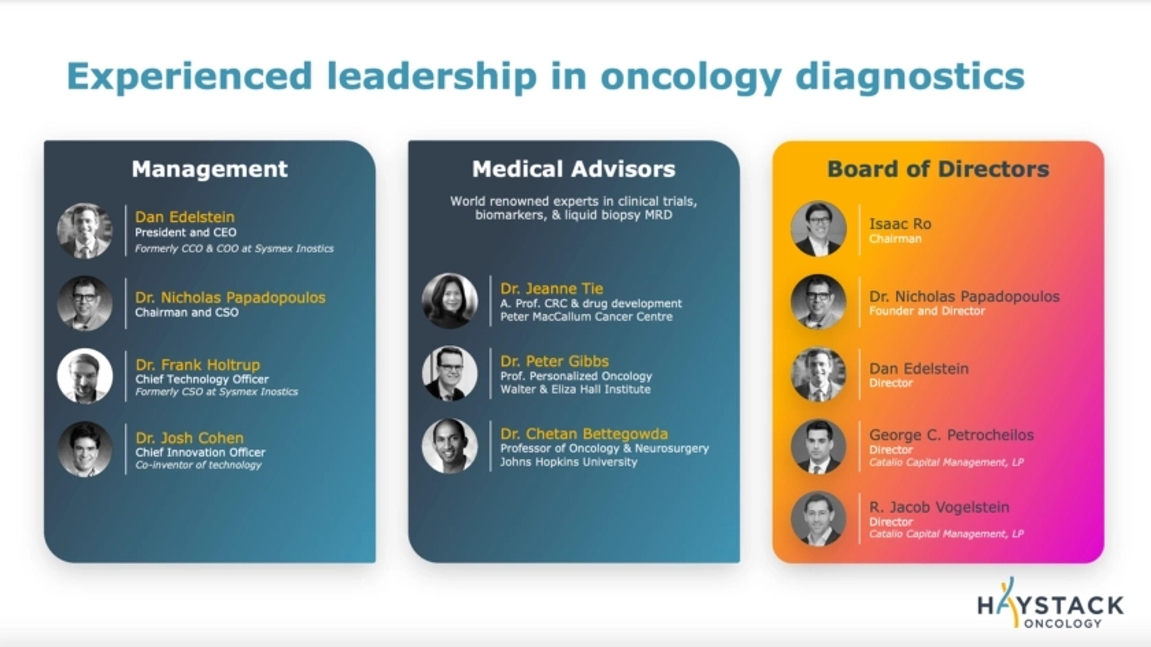 Haystack Oncology Deck - Page #4 - Team Slide