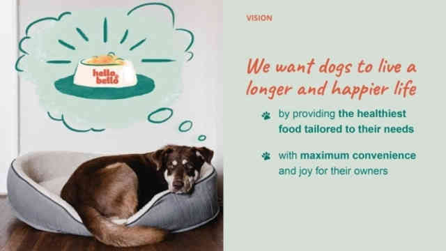 Hello Bello Deck - Page #3 - Mission-Vision Slide
