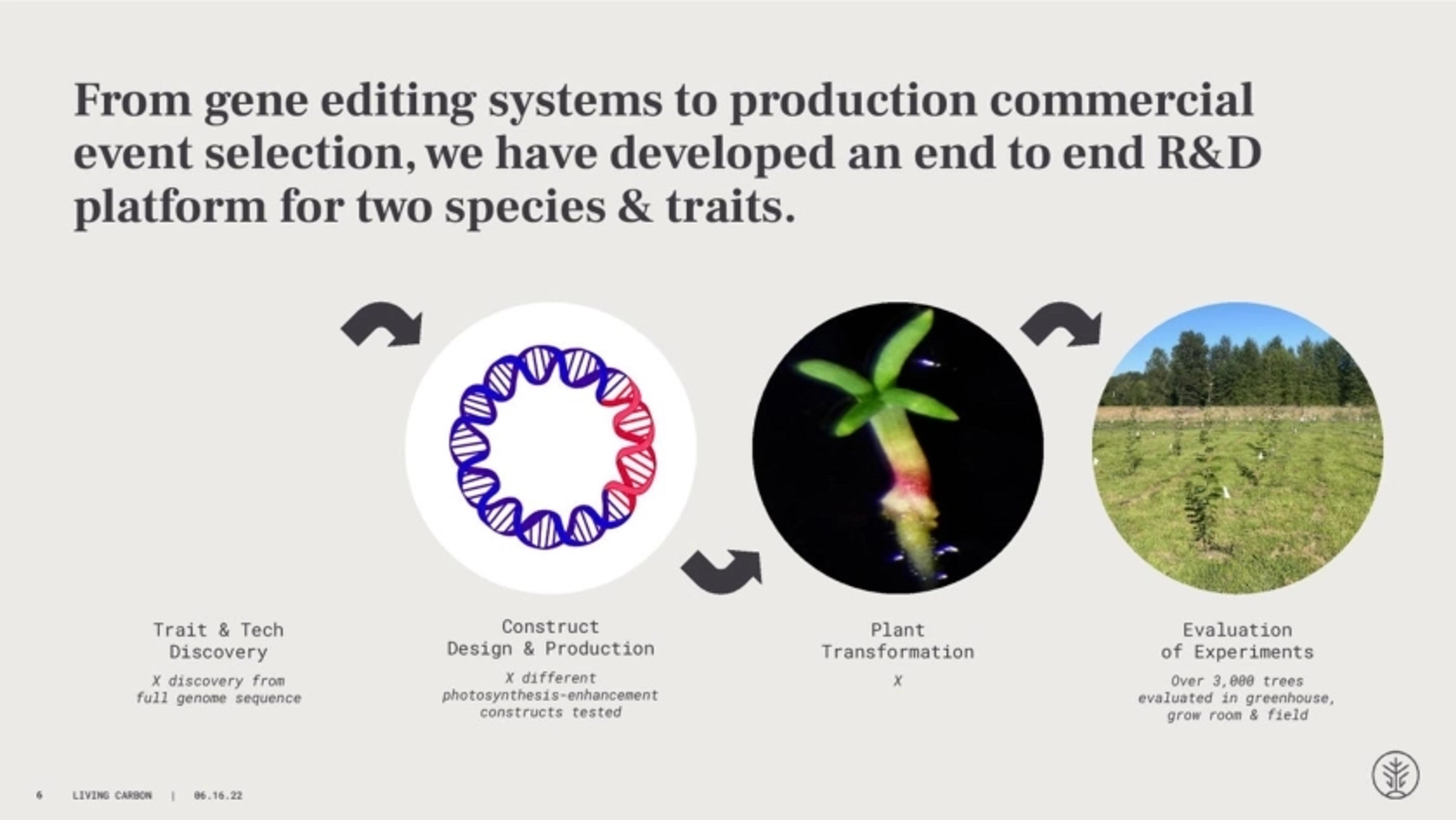 LivingCarbon Deck - Page #6 - Solution Slide