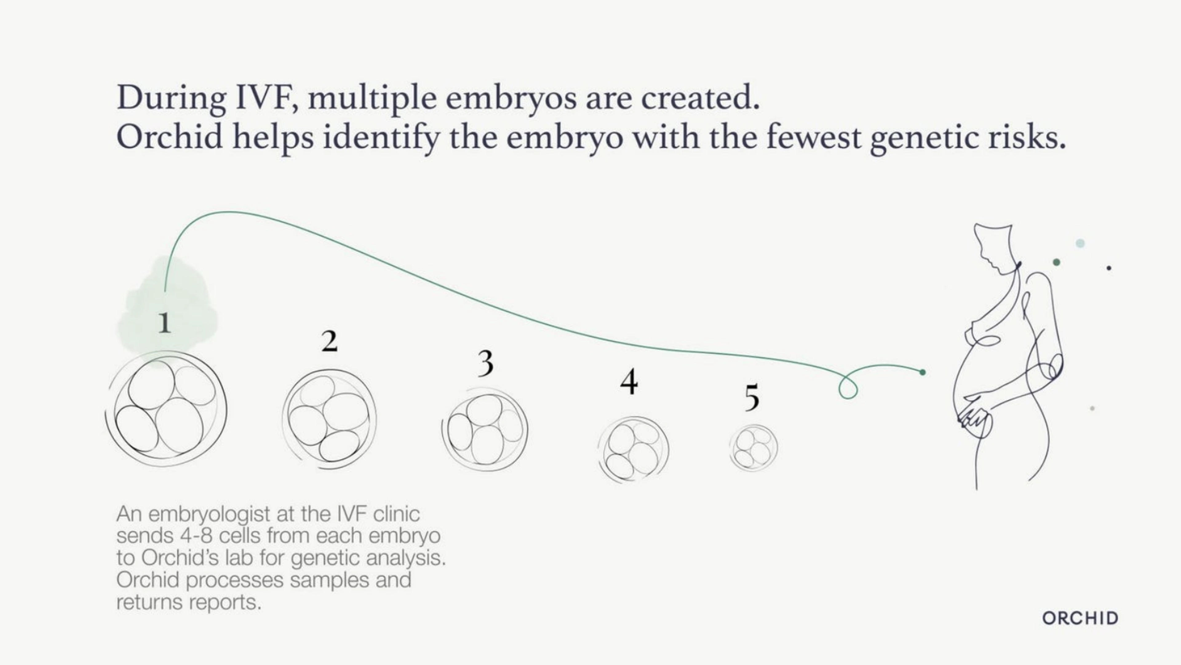 Orchid Deck - Page #3 - Problem Slide