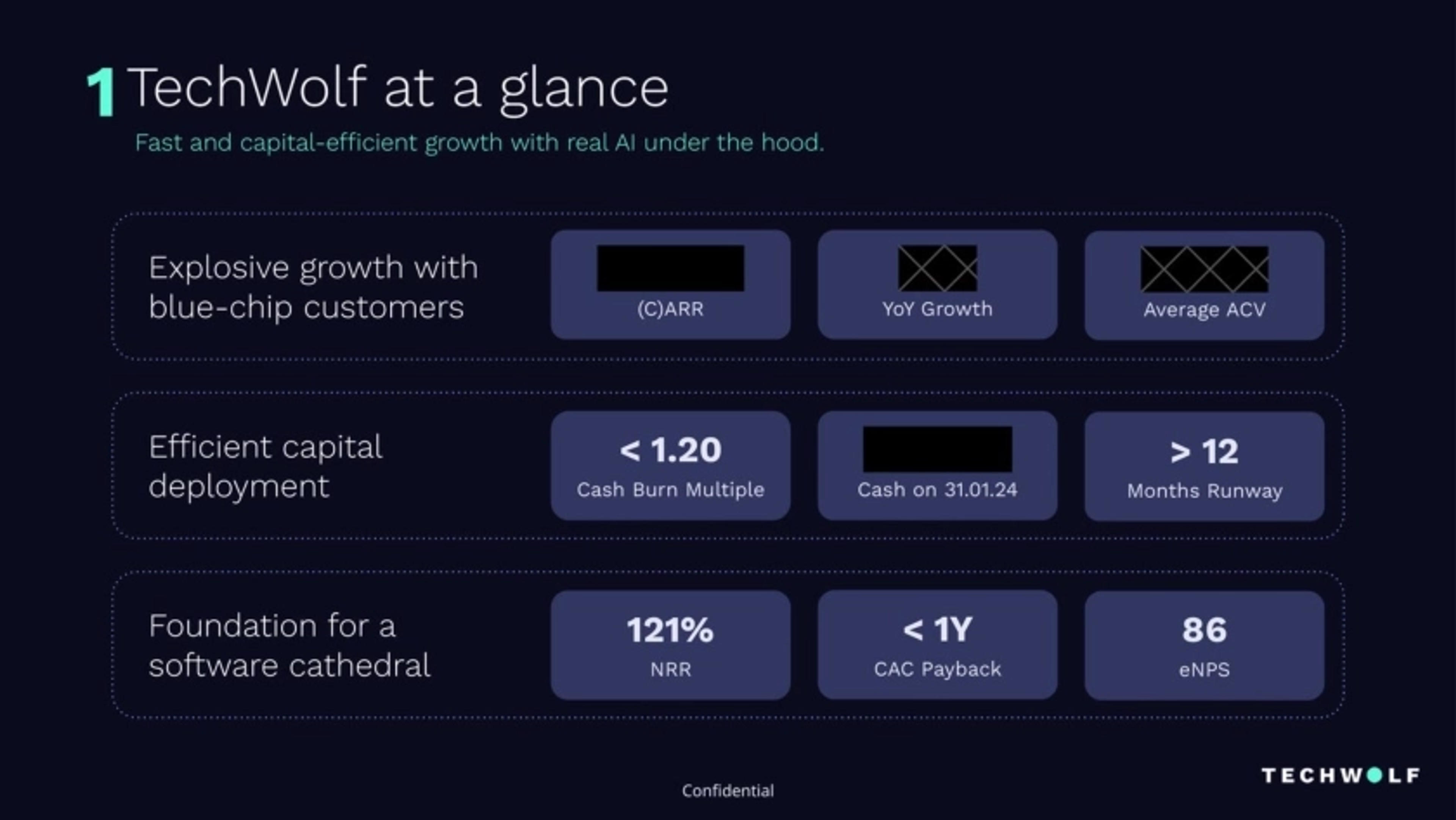 TechWolf Deck - Page #2 - Executive Summary Slide