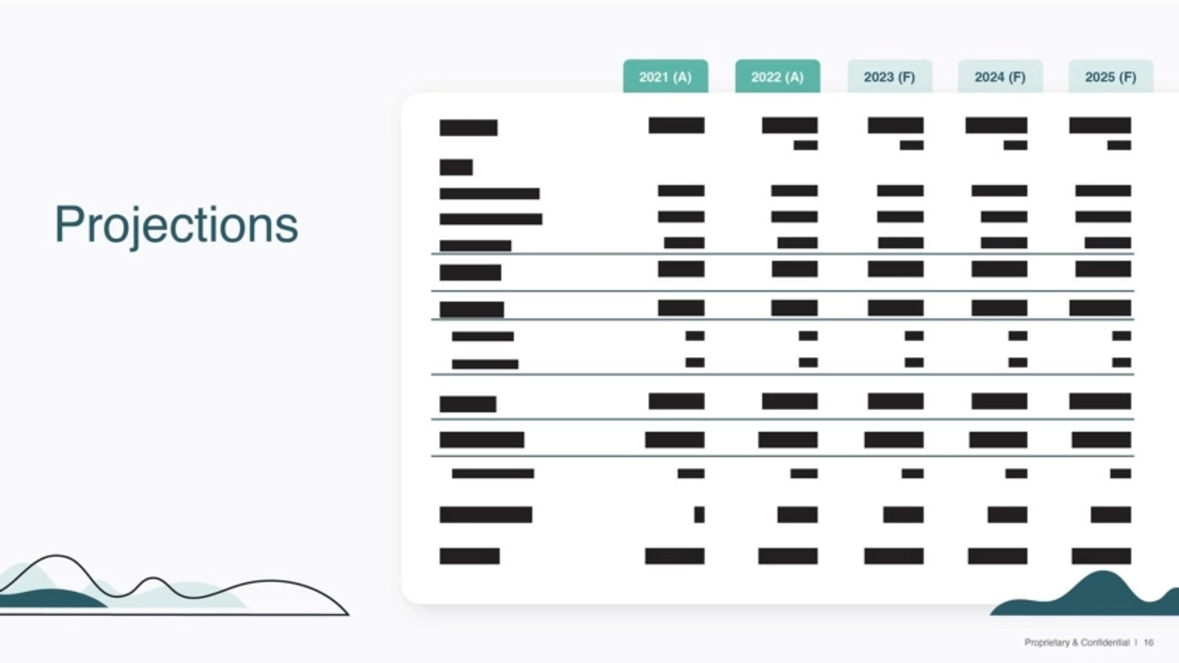 Vitable Deck - Page #17 - Financials Slide
