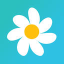 Daisy Pay Favicon