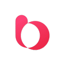 Brigad Favicon