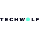 TechWolf Favicon